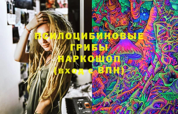 apvp Чердынь