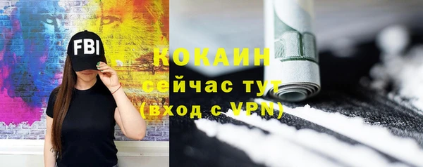 ALPHA PVP Ельня