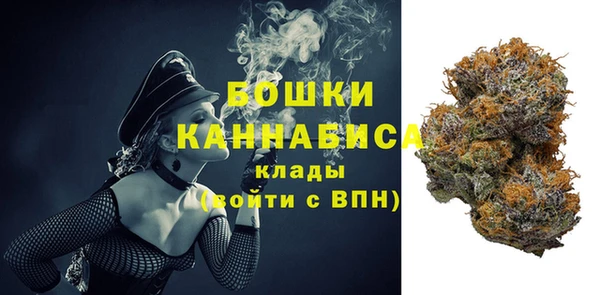 ALPHA PVP Ельня
