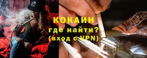ALPHA PVP Ельня
