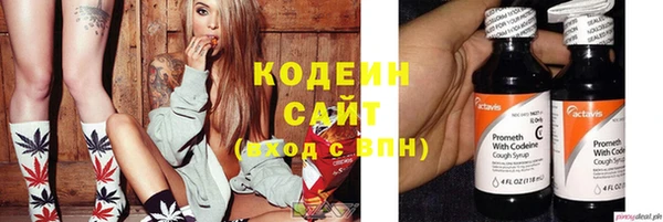 хмурый Елабуга